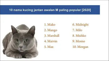 Nama kucing betina dalam islam